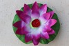 Fiore di Loto Lilla Loto Galleggiante Lilla