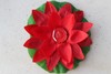 Fiore di Loto Rosso Loto Galleggiante Rosso